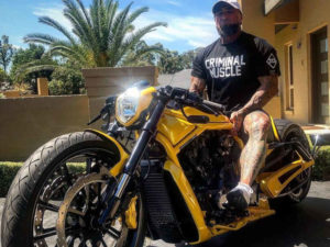 Harley-Davidson V-Rod owned 02