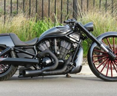 Harley-Davidson night rod curran custom 02
