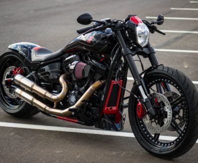 Harley-Davidson custom softail by btchoppers 02