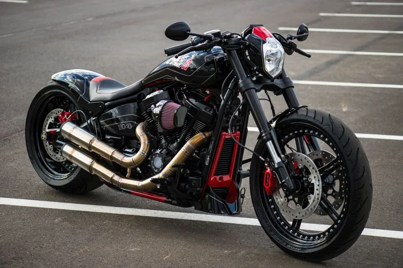 Harley-Davidson custom softail by btchoppers