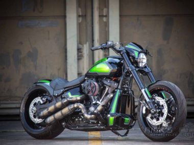 Harley-Davidson FXDR Custom Acid by Rick’s Motorcycles 02