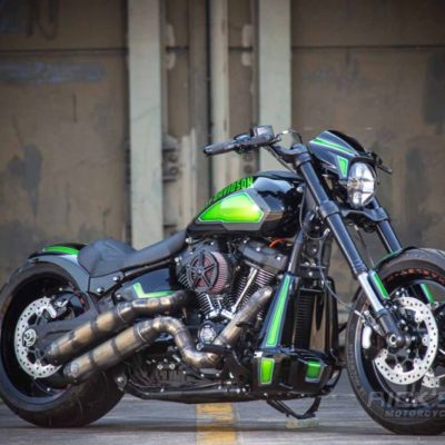 Harley-Davidson FXDR Custom Acid by Rick's Motorcycles