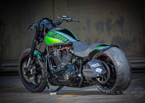 Plaisir coupable...    FXDR - Page 37 Harley-Davidson-FXDR-Custom-Acid-by-Ricks-Motorcycles-05-560x400