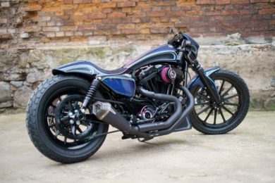 Harley-Davidson Custom Sportster 'Martini' by Nine Hills