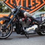 Harley-Davidson-Softail-motorcycle-Gray-Edge-by-BTChoppers