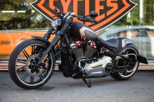 Harley-Davidson-Softail-motorcycle-Gray-Edge-by-BTChoppers