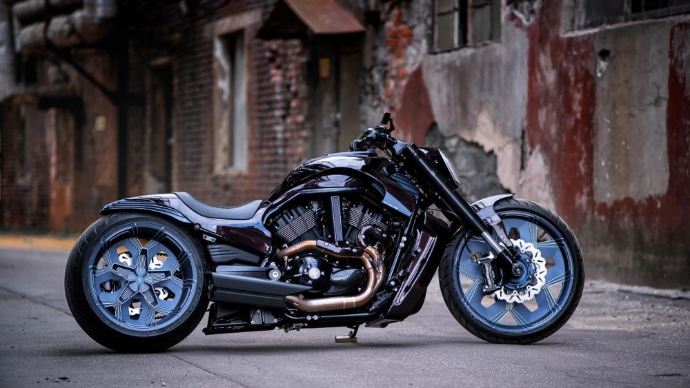 Harley-Davidson Night Rod Special ‘Giotto 2’ by Box39