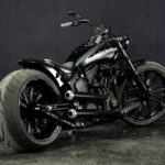 H-D Custom Breakout Backus by Bad Land