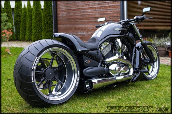 Harley-Davidson VRod SS muscle by Fredy