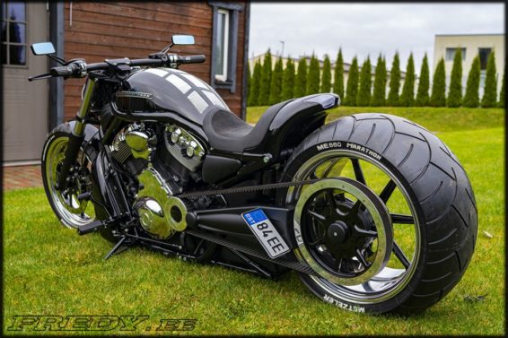 Harley-Davidson VRod SS muscle by Fredy