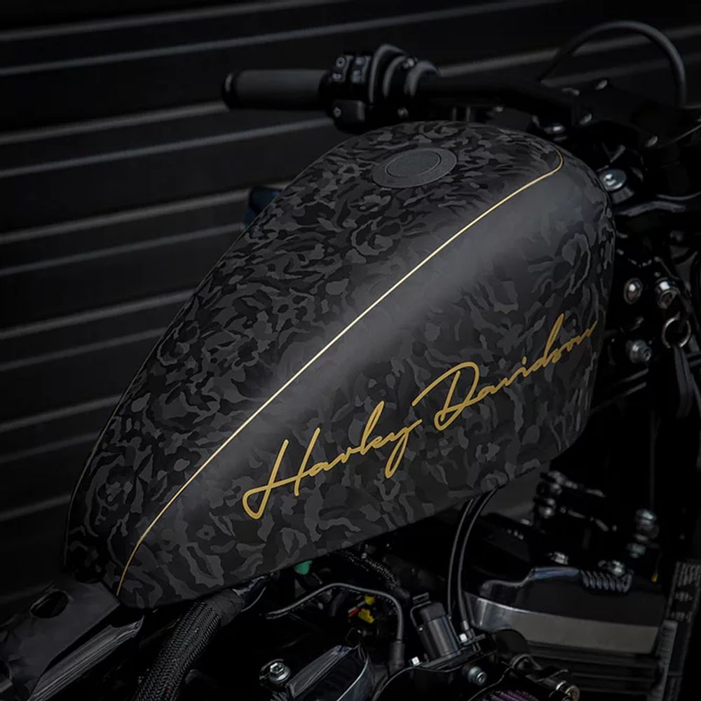 Harley-Davidson 48 "Black Widow" by Limitless Customs