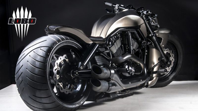 Harley-Davidson-Night-Rod-bike-Lobo-1-by-Lobomotive