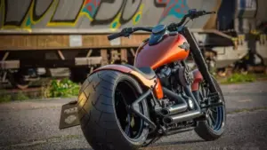 Harley-Davidson Softail Slim ‘300’ by Rick’s Motorcycles