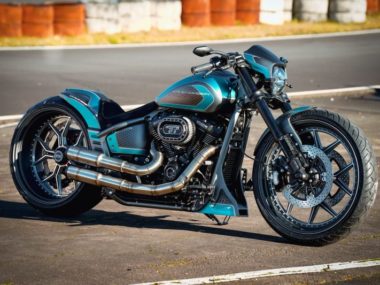 Customized-Harley-Davidson-Softail-FXDR-by-Thunderbike-05