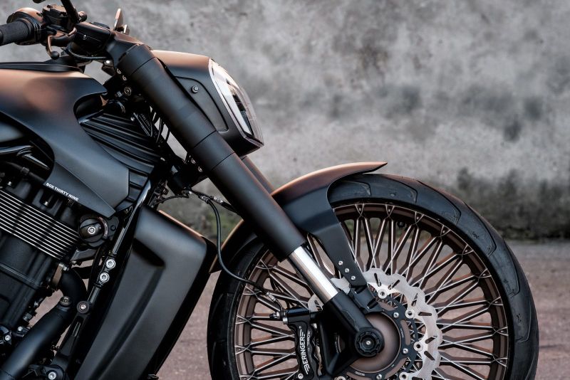 Harley-Davidson-VRod-Russian-Custom-GIOTTO-6-by-Box39