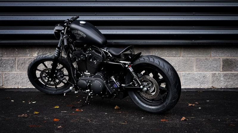 Harley-Sportster-1200-Iron-Sleeper-by-Limitless-Customs