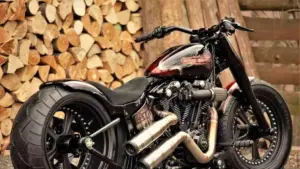 Harley-Davidson FLSTF Fat Boy ‘Hooligan’ by BT Choppers