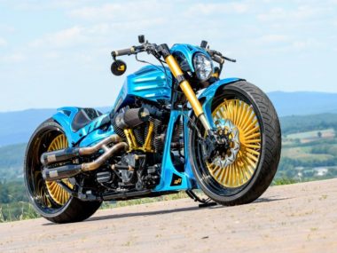 Harley-Custom-FXDR-Ilektra-airbrushed-by-SK-Brush-05