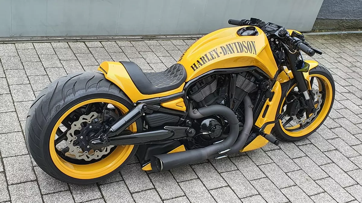 Harley-Davidson Night Rod ‘GEO 300’ by Bad Boy Customs