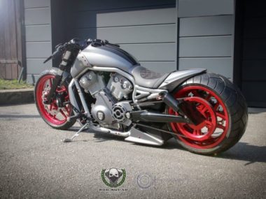Harley-VRod-Performance-Alpha-Dog-by-Rod-Squad-Motorcycles-01