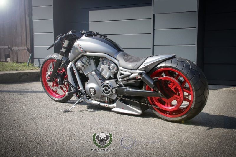 Harley VRod 280 Performance ‘Alpha Dog’ by Rod Squad Motorcycles