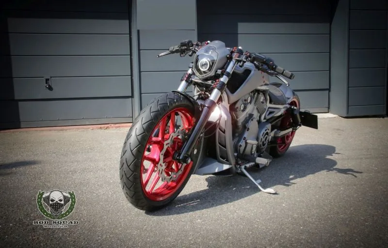 Harley-VRod-Performance-Alpha-Dog-by-Rod-Squad-Motorcycles