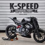 Kawasaki-ER6N-Streetfighter-Karuki-build-by-K-Speed