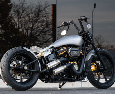 HD Softail Standard customized by BT Choppers 2