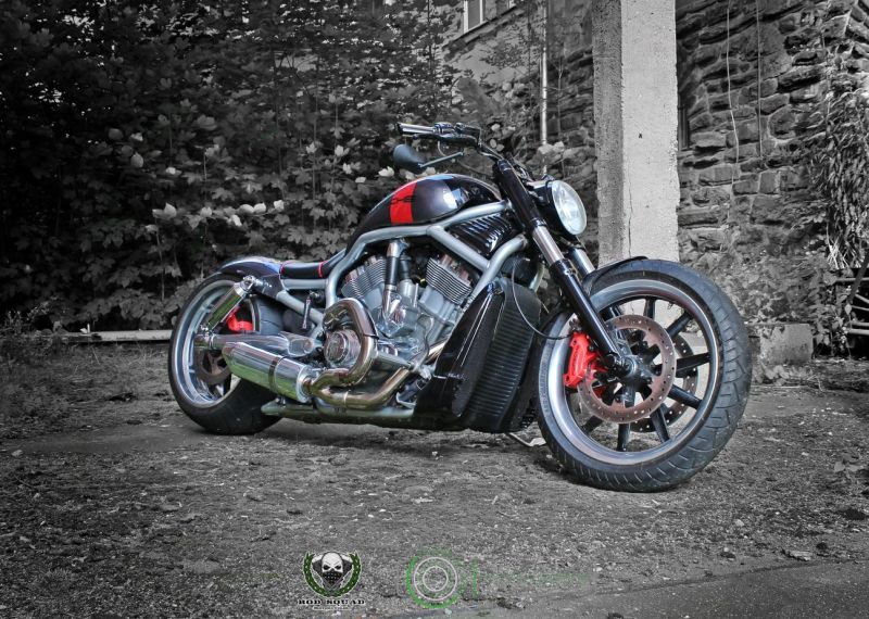 Harley-Davidson V-Rod ‘Nine One One’ by Rod Squad