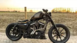 Harley Davidson Iron 883 by D-Star Customs