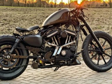 Harley-Davidson-Iron-bobber-883-by-D-Star-Customs-06