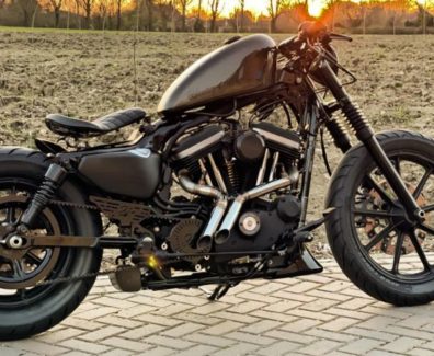 Harley-Davidson-Iron-bobber-883-by-D-Star-Customs-06
