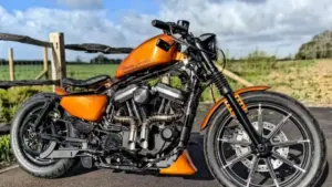 Harley-Davidson Sportster iron 883 by D-Star Customs
