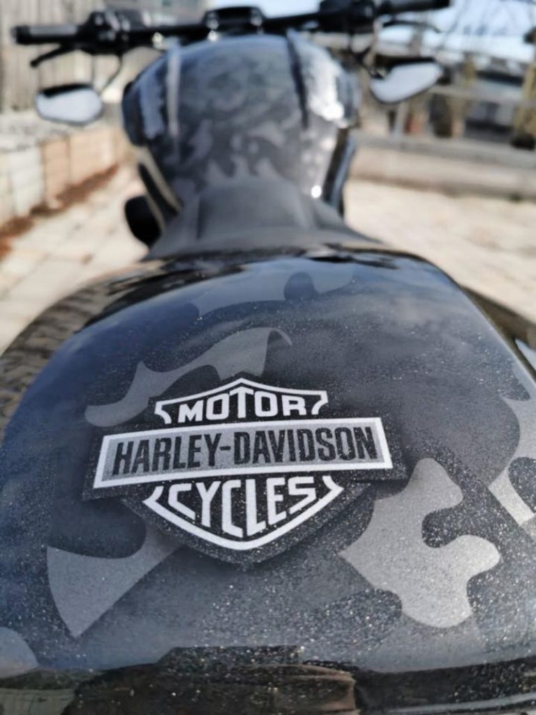 Harley-Davidson-V-Rod-by-Augustin-motorcycles