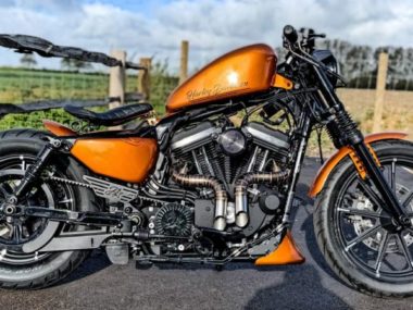 Harley-Davidson Sportster iron 883 by D-Star Customs