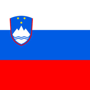 slovenian flag motorcycles
