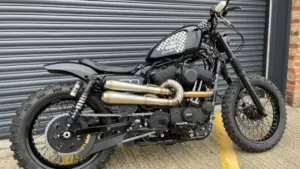 Harley-Davidson Iron 1200 Scrambler by D-Star Customs