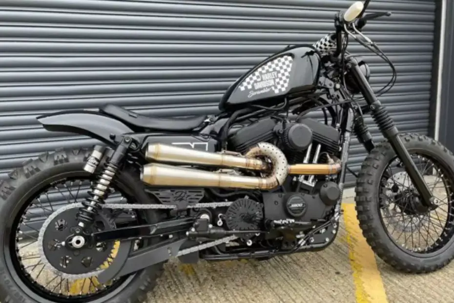 Harley-Davidson Iron 1200 Scrambler by D-Star Customs