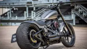 Harley-Davidson Dyna Street Bob 300 by Rick’s Motorcycles