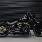 Harley-Davidson-Fat-Boy-Switch-Back-by-Limitless-Customs