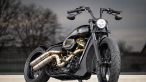 Harley-Davidson FXST Softail by BT Choppers Harley-Davidson-FXST-Softail-Arlen-Ness-by-BT-Choppers-3