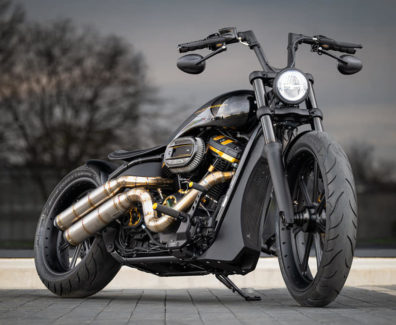 Harley-Davidson-FXST-Softail-Arlen-Ness-by-BT-Choppers-3