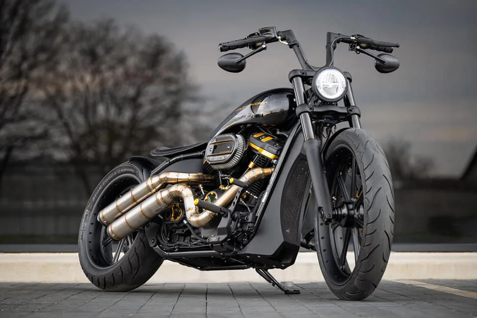 Harley-Davidson-FXST-Softail-Arlen-Ness-by-BT-Choppers