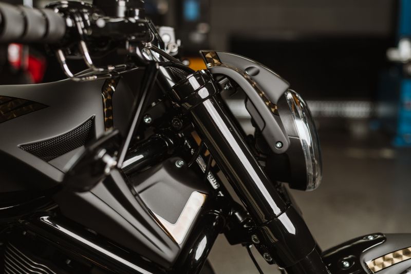 Harley-Davidson Night Rod 300 Project By Killer Custom