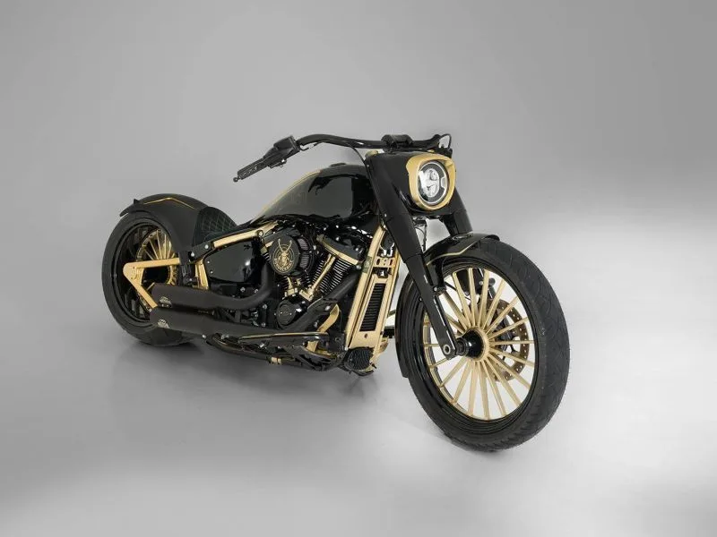 Harley-Davidson-Softail-Fat-Boy-Vinta-by-Bundnerbike