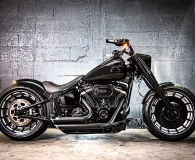 Harley-Davidson-custom-Fat-Boy-114-by-Melk-01