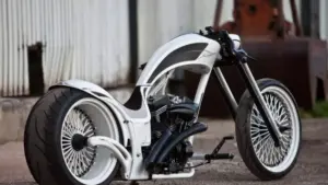 Radical fork Over Frame 'Smoothless' by Thunderbike Radical-fork-Over-Frame-Smoothless-by-customized-Thunderbike