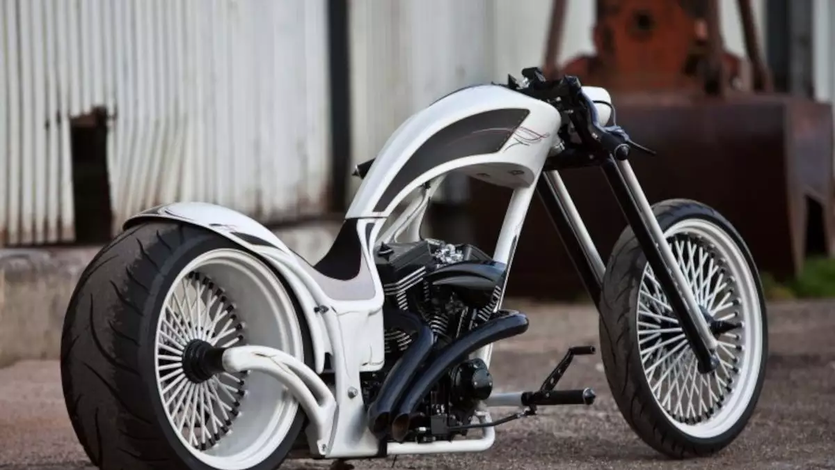 Radical-fork-Over-Frame-Smoothless-by-customized-Thunderbike