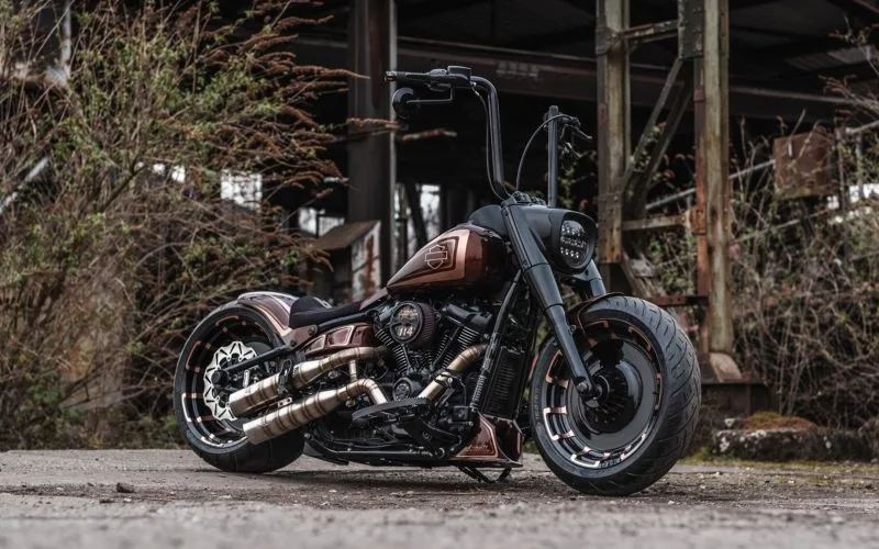 Harley-Davidson-Fat-Boy-Ape-hanger-by-X-Trem-Customs