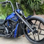 Harley-Davidson-V-Rod-Hog-Pro-300-by-Quality-customs